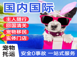 呼和浩特机场托运国际宠物托运 【国